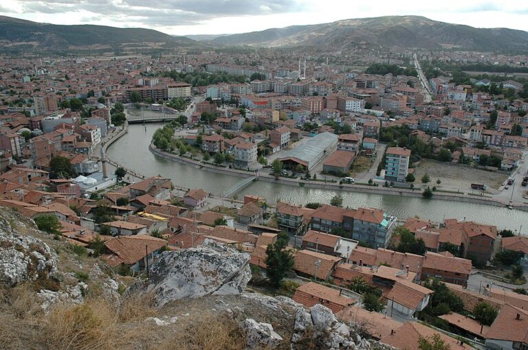 Turhal_2004_1900